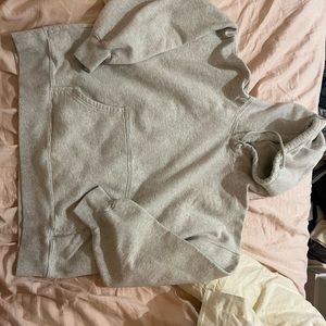 Aritzia Hoodie Boyfriend Fit